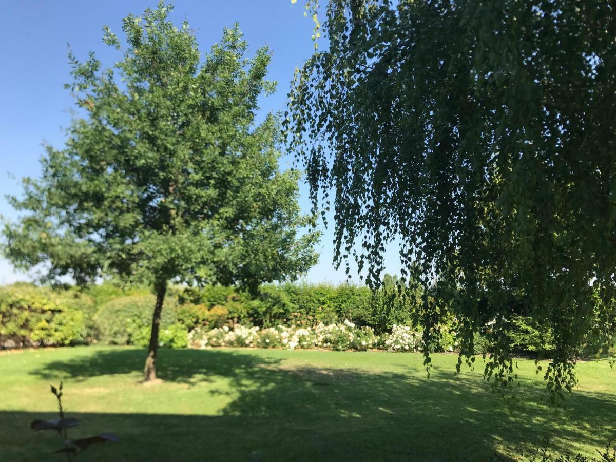 B&B Temenos Πάρμα Εξωτερικό φωτογραφία